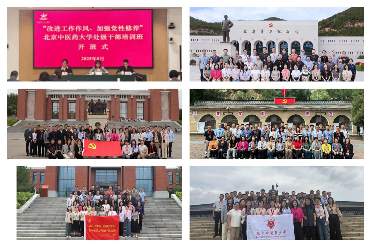 2026世界杯官方合作网站